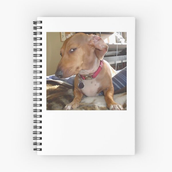 Item preview, Suspicious Look Dog Meme designed and sold by klaro45.