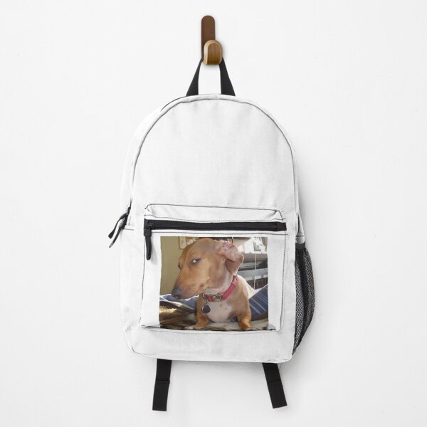 Item preview, Suspicious Look Dog Meme designed and sold by klaro45.