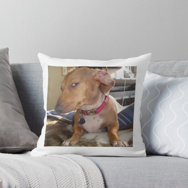 Item preview, Suspicious Look Dog Meme designed and sold by klaro45.