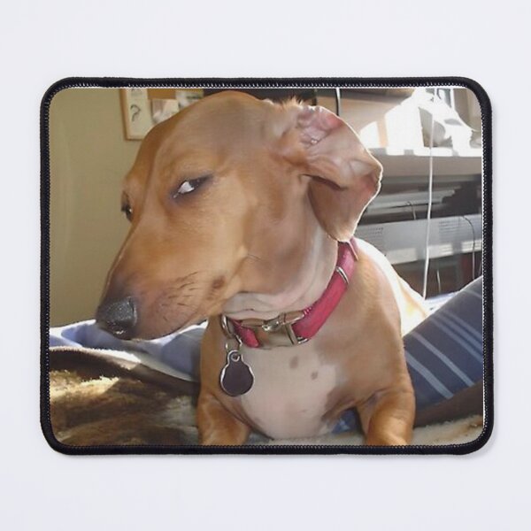 Item preview, Suspicious Look Dog Meme designed and sold by klaro45.