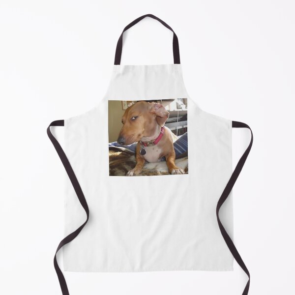 Item preview, Suspicious Look Dog Meme designed and sold by klaro45.
