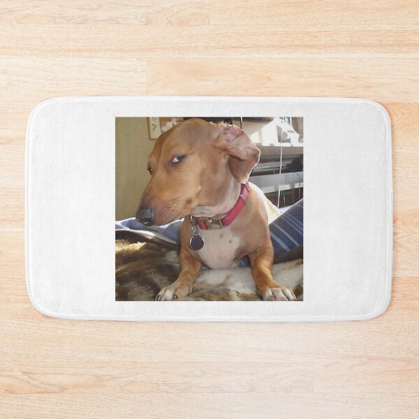 Item preview, Suspicious Look Dog Meme designed and sold by klaro45.