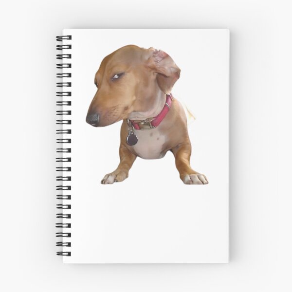 Item preview, Side Eye Dog - Suspicious Look Meme designed and sold by klaro45.