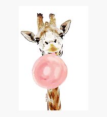 Pink Bubblegum Giraffe Photographic Print