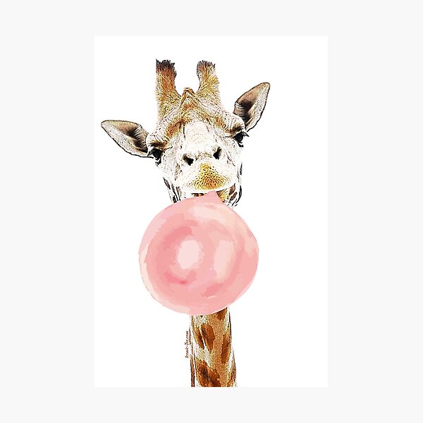 Pink Bubblegum Giraffe Photographic Print