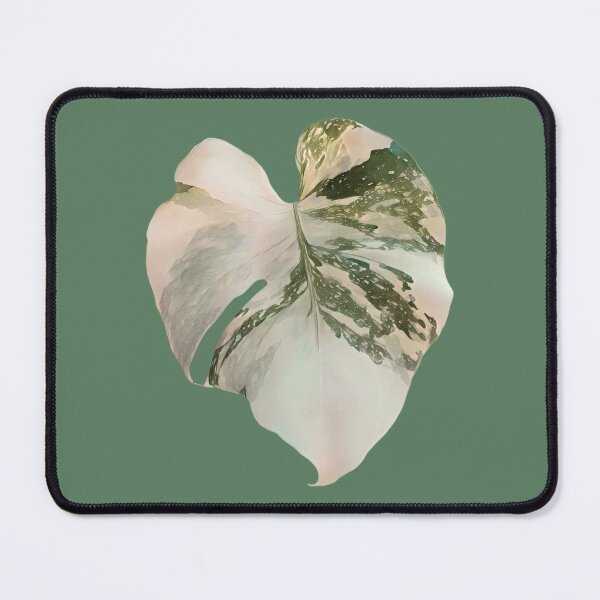 Item preview, Monstera Thai Constellation designed and sold by chloeifulgham.