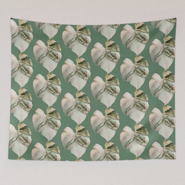 Item preview, Monstera Thai Constellation designed and sold by chloeifulgham.