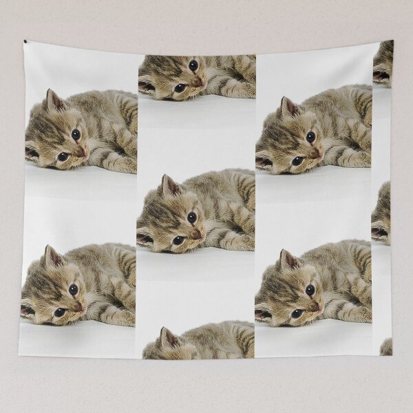 Item preview, Miau miau designed and sold by dryasmenaa.