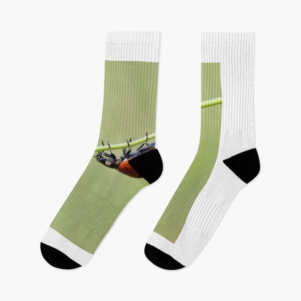 Item preview, Flowing Boston Celtics Color Streams designed and sold by Mitchmount.