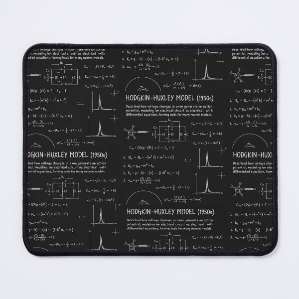 Item preview, Hodgkin/Huxley Model | Blackboard designed and sold by NeuroNotes.