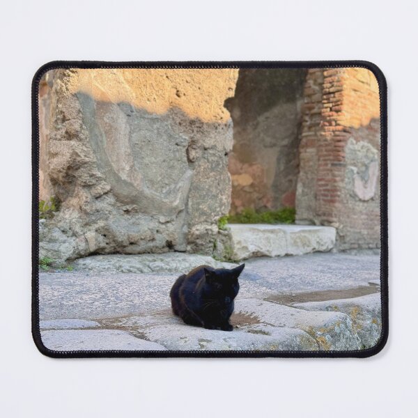 Item preview, Little kitty, Pompeian city designed and sold by AuthenticCetacean.