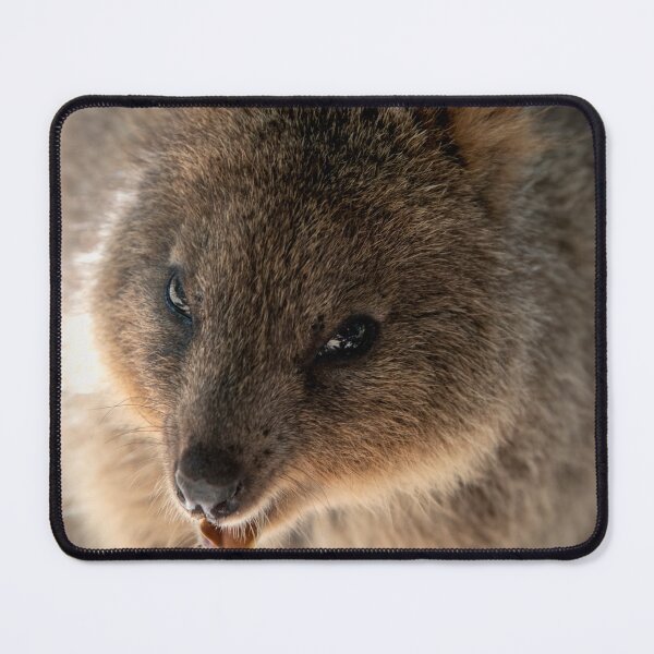 Item preview, Laughing Quokka designed and sold by BroomstickMagic by Dani Musicka.