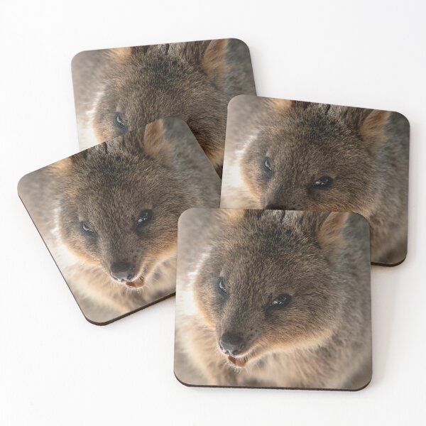 Item preview, Laughing Quokka designed and sold by BroomstickMagic by Dani Musicka.
