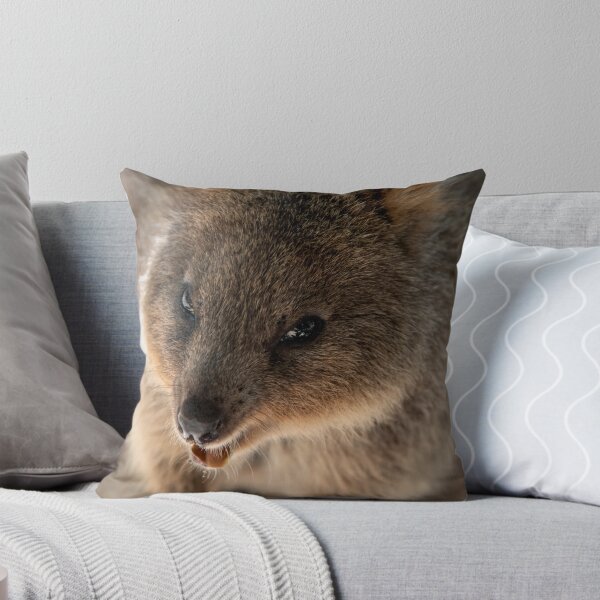 Item preview, Laughing Quokka designed and sold by BroomstickMagic by Dani Musicka.