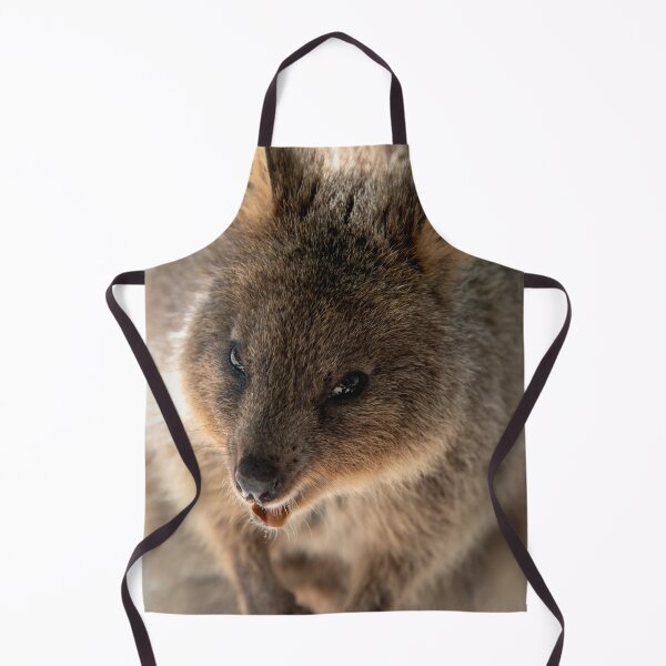 Item preview, Laughing Quokka designed and sold by BroomstickMagic by Dani Musicka.
