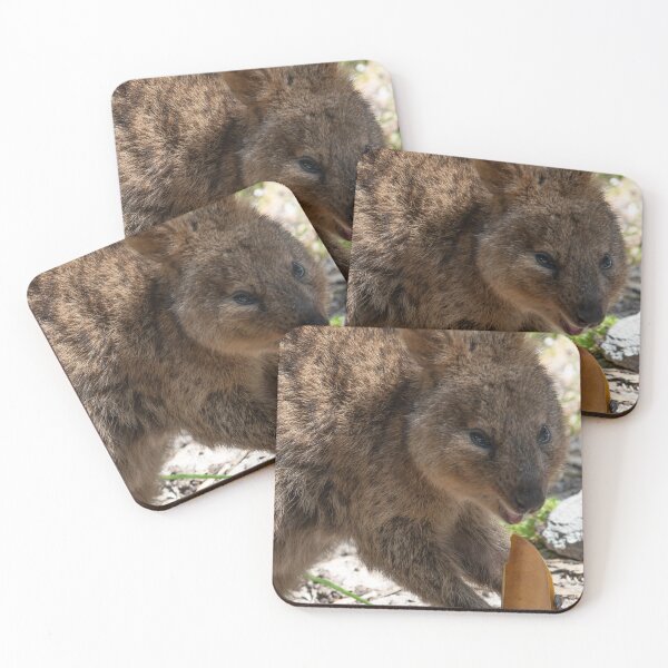 Item preview, Cheeky Quokka designed and sold by BroomstickMagic by Dani Musicka.