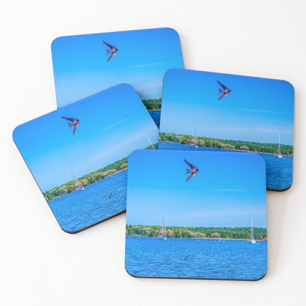 Item preview, Lake Michigan Sailboats and Birds – Door County Wisconsin Photography designed and sold by aadventures.