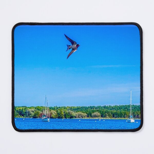 Item preview, Lake Michigan Sailboats and Birds – Door County Wisconsin Photography designed and sold by aadventures.
