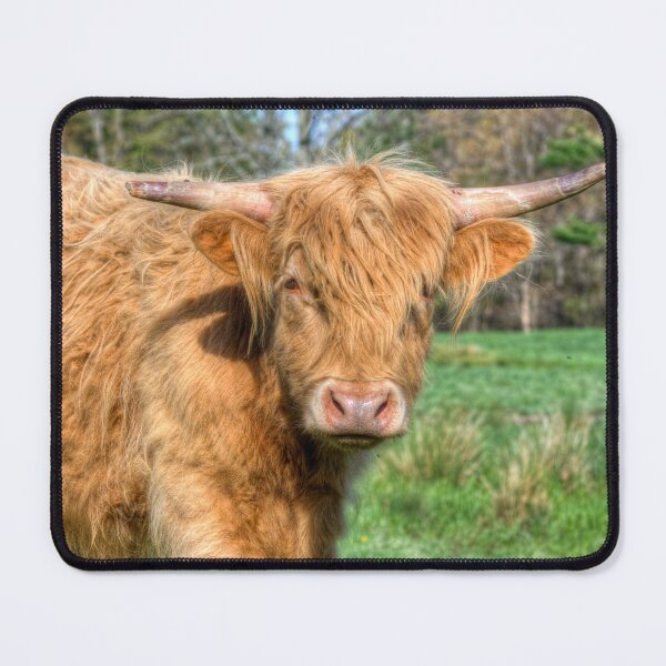 Item preview, Cow designed and sold by Clairvoyant Studios.