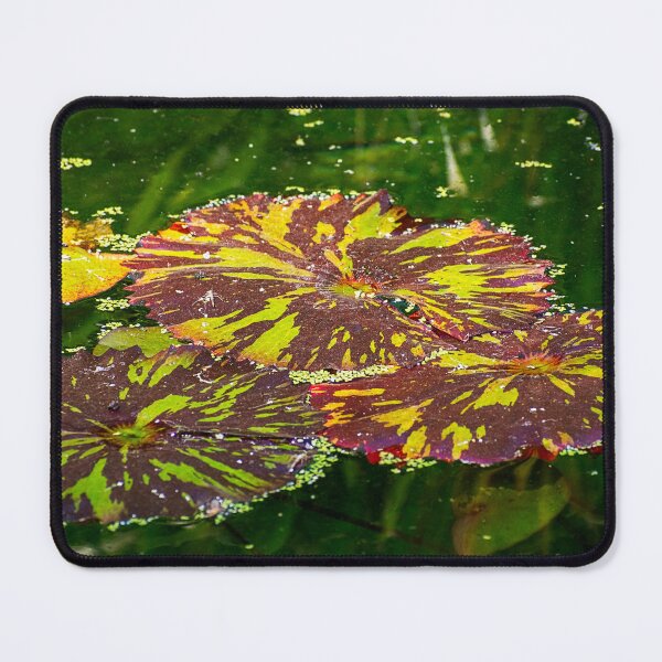 Item preview, Mosaico de estanque designed and sold by WrightDesignsUS.