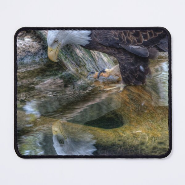 Item preview, Reflecting on Freedom designed and sold by Clairvoyant Studios.