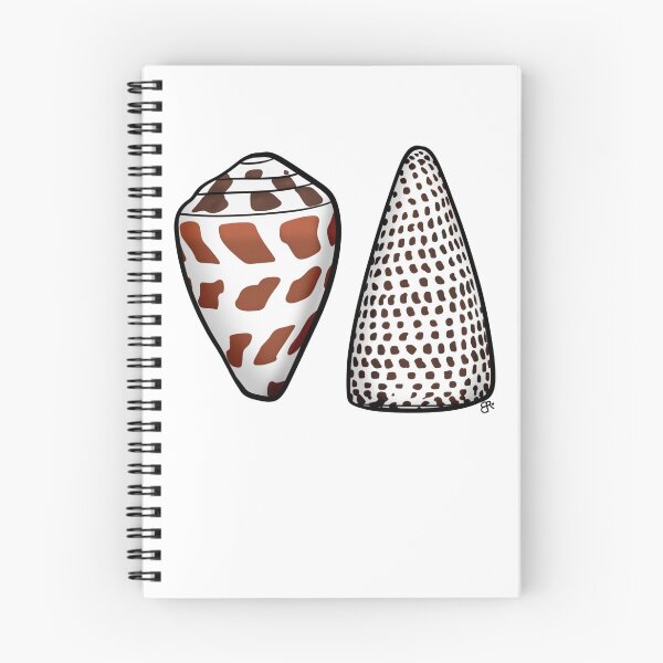 Item preview, Cone Shells designed and sold by Bailey-Russ.