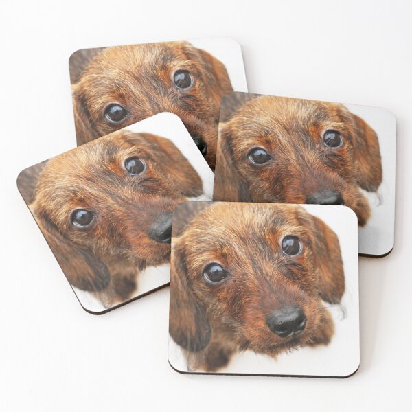 Item preview, "Peach Basket Ketch-em-Up" -Dachshund, Puppy, Wire, Wirehair, Hair, Coat, Whiskers, Beard, Brindle, Boar, Red, Dapple, Pattern, Cute, Pet, Dog, Doxie, Baby, Wiener, Hot, Sausage, Hound designed and sold by CanisPicta.