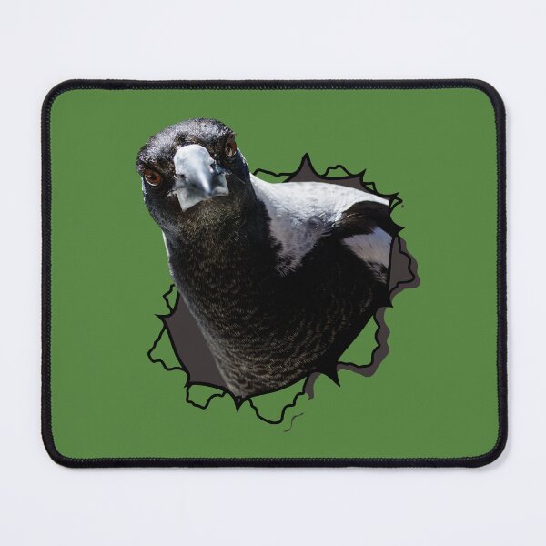 Item preview, Australian Magpie Bursting Through Green Background designed and sold by Barry Callister Photography.