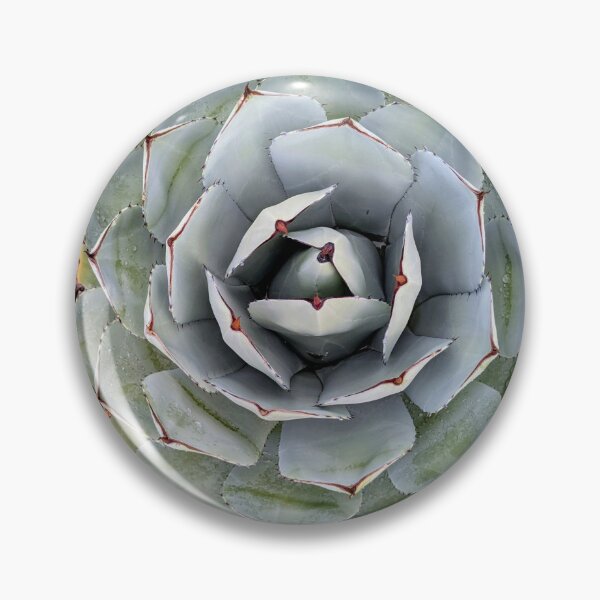 Item preview, Blue Agave designed and sold by Fatboy0699.