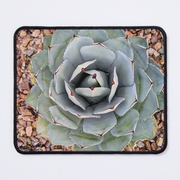 Item preview, Blue Agave designed and sold by Fatboy0699.