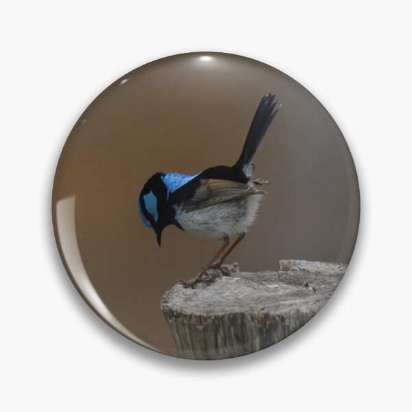 Item preview, Superb Blue Fairy Wren Bowing designed and sold by Patricia  Rademaker.