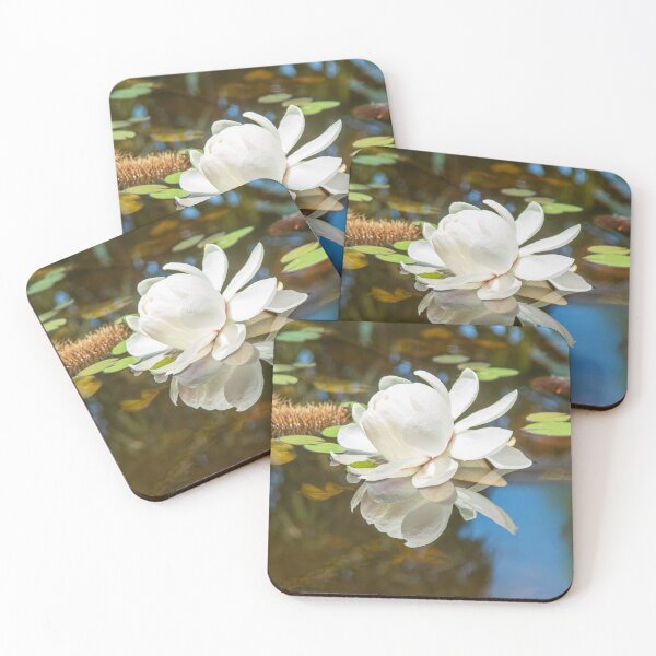 Item preview, Amazon Lily designed and sold by Patricia  Rademaker.