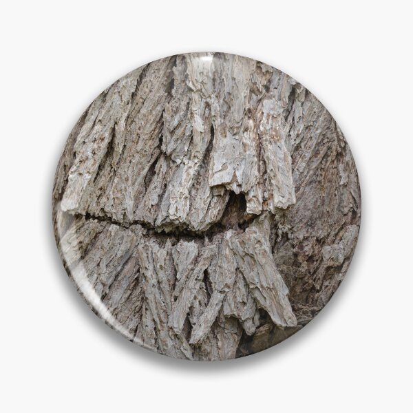 Item preview, Cercidiphyllum Japonicum designed and sold by Mark Prior.