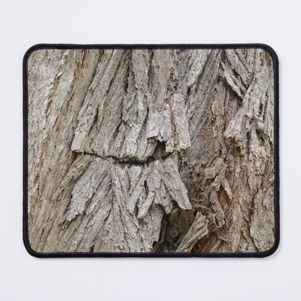 Item preview, Cercidiphyllum Japonicum designed and sold by Mark Prior.
