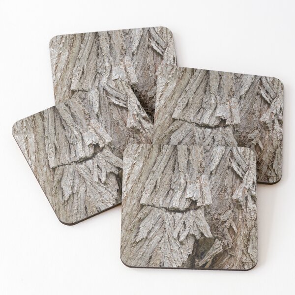 Item preview, Cercidiphyllum Japonicum designed and sold by Mark Prior.