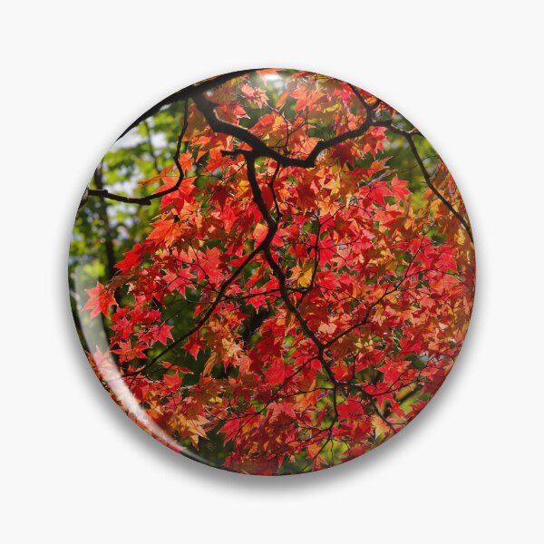 Item preview, Maples at Hokkaido University designed and sold by Mark Prior.