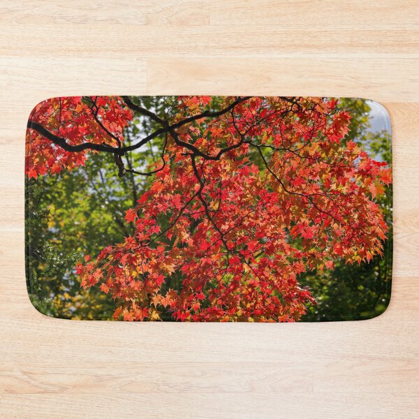 Item preview, Maples at Hokkaido University designed and sold by Mark Prior.