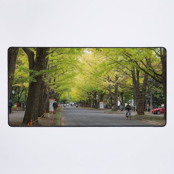 Item preview, Hokkaido University Ginkgo Avenue designed and sold by Mark Prior.