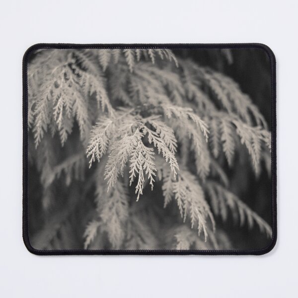 Item preview, Cypress Leaves designed and sold by David Bowman.