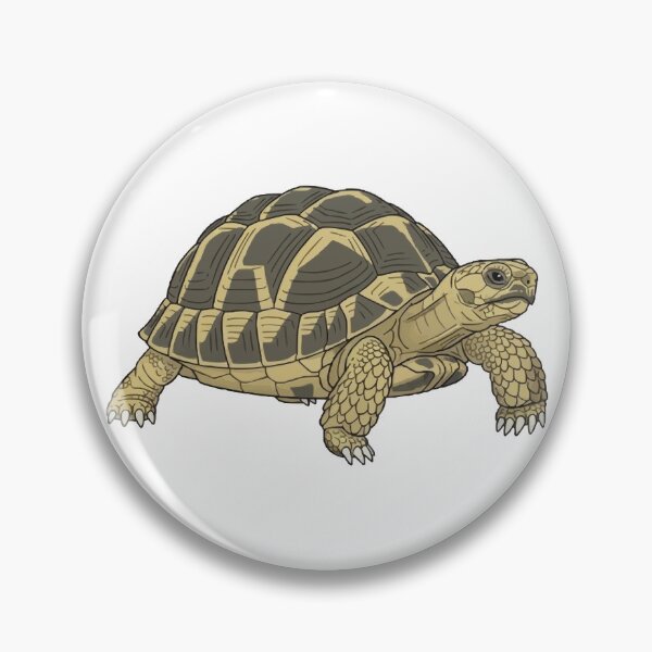 Item preview, Russian Tortoise designed and sold by Petzzz.
