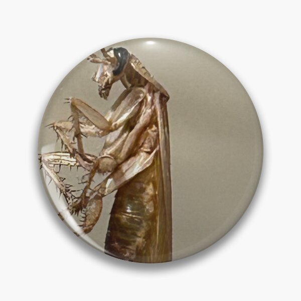 Item preview, The Great American Cockroach designed and sold by Splatterboard.
