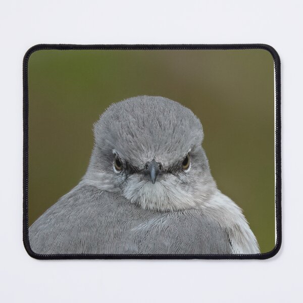 Item preview, Northern Mockingbird designed and sold by tracyam.