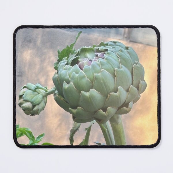 Item preview, omen artichoke designed and sold by Splatterboard.