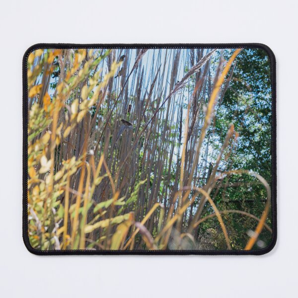 Item preview, Morning glories and birdsong designed and sold by Shutter, Stitch, and Swirl.