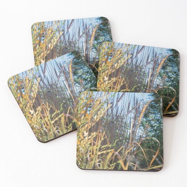 Item preview, Morning glories and birdsong designed and sold by Shutter, Stitch, and Swirl.
