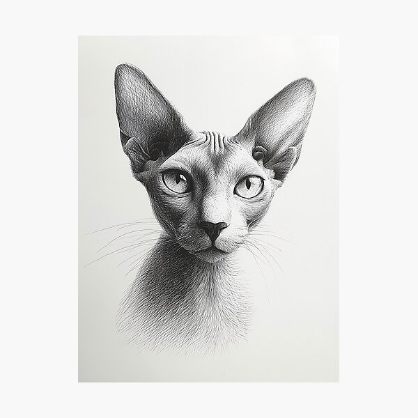 Item preview, Detailed Sphynx Cat Portrait designed and sold by lautir.