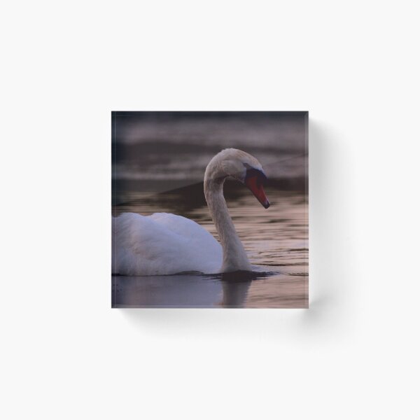Item preview, Frozen reality - Beautiful nature 435 designed and sold by deep-sea-birds.