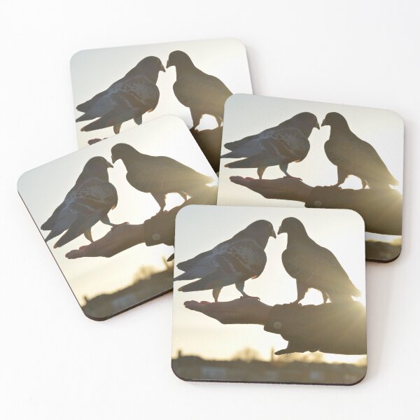 Item preview, Pigeons designed and sold by AnastasiaBes.