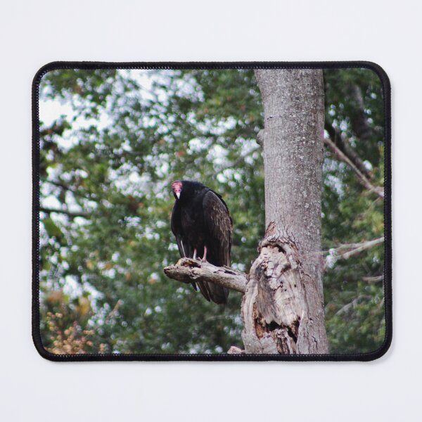 Item preview, Vulture Perched on a Tree designed and sold by Cynthia48.