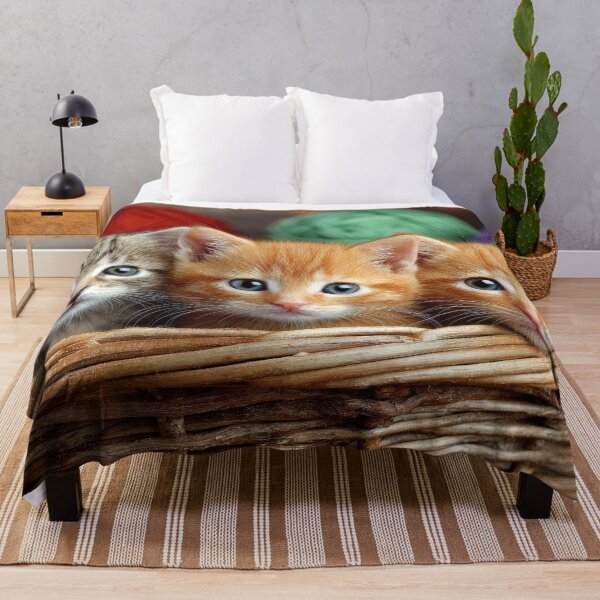 Item preview, Trio of Kittens in a Basket designed and sold by jecphotography and art.